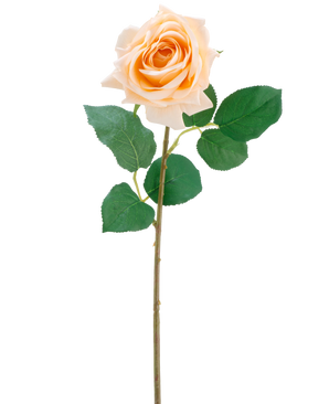 Die künstliche Blume Crystal Touch feuchtigkeitsspendende Rose Real Touch in Champagner ist eine einzelne künstliche Rose mit grünen Blättern auf einem 43 cm langen, schlanken Stiel, abgebildet vor einem schlichten weißen Hintergrund.