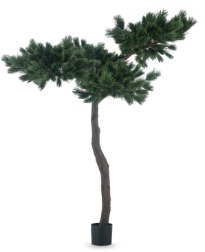 De Kunstplant Pinus 210 cm is een hoge kunstdennenboom met een slanke gebogen stam en twee brede, bossige takken met dichte groene naalden, afgebeeld tegen een effen witte achtergrond.