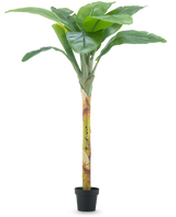 Der künstliche Bananenbaum 180 cm hat breite grüne Blätter und einen strukturierten Stiel in einem kleinen schwarzen Topf vor einem schlichten weißen Hintergrund.