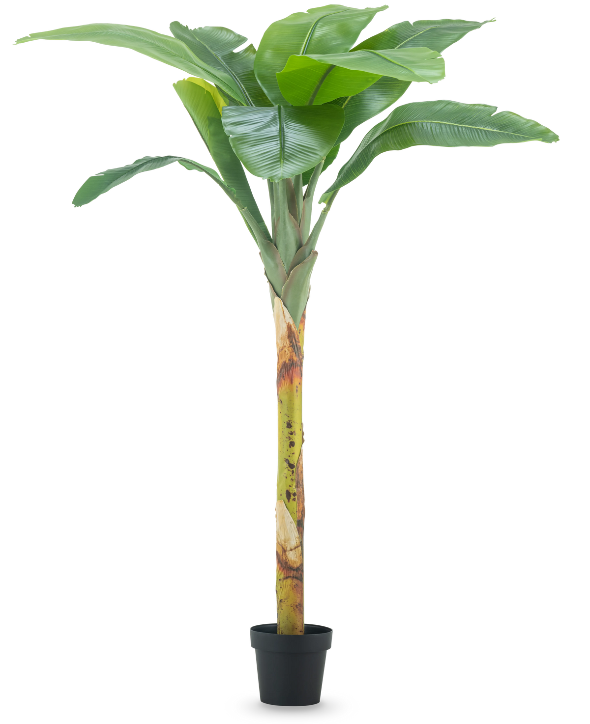 Der künstliche Bananenbaum 180 cm hat breite grüne Blätter und einen strukturierten Stiel in einem kleinen schwarzen Topf vor einem schlichten weißen Hintergrund.