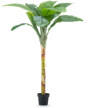 Der künstliche Bananenbaum 180 cm hat breite grüne Blätter und einen strukturierten Stiel in einem kleinen schwarzen Topf vor einem schlichten weißen Hintergrund.
