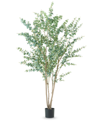 Künstliche Pflanze Eukalyptus 240 cm