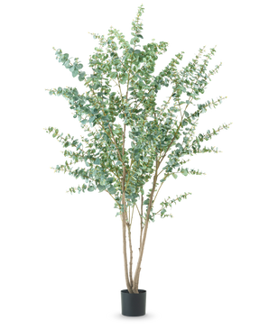 De Kunstplant Eucalyptus 240 cm is een hoge kunstplant met meerdere dunne houtachtige stengels en ronde groene bladeren, weergegeven in een eenvoudige zwarte pot tegen een effen witte achtergrond.