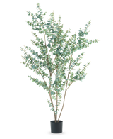Die Kunstpflanze Eukalyptus 210 cm ist ein hoher künstlicher Eukalyptus in einem schlichten schwarzen Topf mit mehreren schlanken Zweigen und runden, silbergrünen Blättern auf weißem Hintergrund.