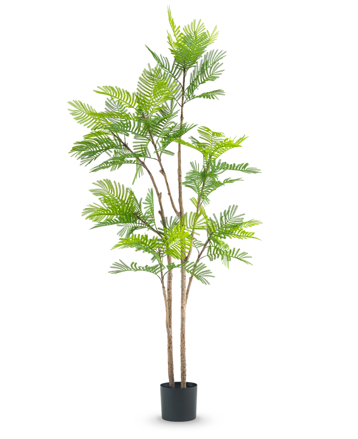 Die künstliche Farnpflanze 210 cm ist eine hohe Kunstpflanze mit mehreren schlanken braunen Stielen und üppig grünen, farnähnlichen Blättern vor einem schlichten weißen Hintergrund.