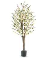 Die künstliche Kirschblütenpflanze 180 cm cremefarben hat mehrere braune Stängel, grüne Blätter und viele kleine weiße Blüten in einem schwarzen Topf vor einem schlichten weißen Hintergrund.