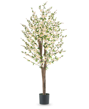 Die künstliche Kirschblütenpflanze 180 cm cremefarben hat mehrere braune Stängel, grüne Blätter und viele kleine weiße Blüten in einem schwarzen Topf vor einem schlichten weißen Hintergrund.