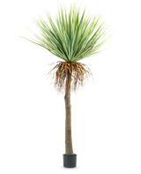 Die künstliche Yucca-Pflanze 153 cm hat einen hohen, rauen braunen Stamm mit grünen, stacheligen Blättern oben und einigen getrockneten Blättern unten, vor einem schlichten weißen Hintergrund.