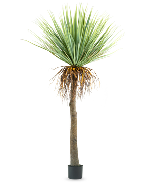 Die künstliche Yucca-Pflanze 153 cm hat einen hohen, rauen braunen Stamm mit grünen, stacheligen Blättern oben und einigen getrockneten Blättern unten, vor einem schlichten weißen Hintergrund.