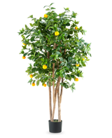 Ein hoher künstlicher Orangenbaum namens „Künstliche Pflanze Orangenbaum 150 cm“ mit mehreren braunen Stämmen, leuchtend grünen Blättern und mehreren leuchtend orangefarbenen Früchten in einem einfachen schwarzen Topf vor einem schlichten weißen Hintergrund.