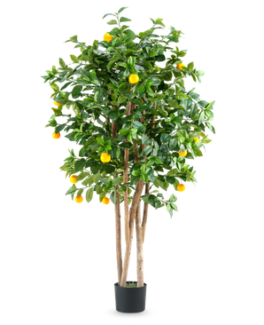 Ein hoher künstlicher Orangenbaum namens „Künstliche Pflanze Orangenbaum 150 cm“ mit mehreren braunen Stämmen, leuchtend grünen Blättern und mehreren leuchtend orangefarbenen Früchten in einem einfachen schwarzen Topf vor einem schlichten weißen Hintergrund.