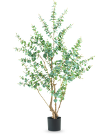 Die Kunstpflanze Eukalyptus 180 cm ist eine hohe Kunstpflanze mit schlanken Zweigen und runden grünen Blättern, die in einem schlichten schwarzen Topf vor einem weißen Hintergrund präsentiert wird.
