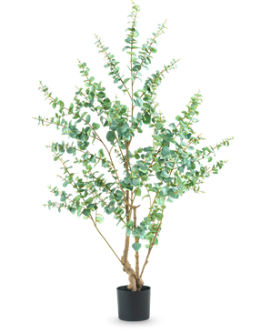 Die Kunstpflanze Eukalyptus 180 cm ist eine hohe Kunstpflanze mit schlanken Zweigen und runden grünen Blättern, die in einem schlichten schwarzen Topf vor einem weißen Hintergrund präsentiert wird.