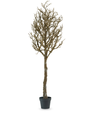 De Kunst decoratie boom met takken 180 cm is een kale, bladerloze boom met veel takken in een zwarte plastic pot, tegen een effen witte achtergrond.