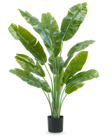 Die Kunstpflanze Strelitzia Nicolai Deluxe 165 cm hat hohe, breite grüne Blätter in einem schwarzen Topf vor weißem Hintergrund – perfekt als grüne Kunstpflanze für Ihr Interieur.