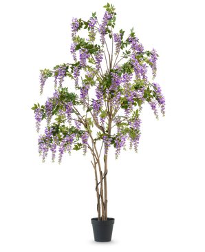 Die künstliche Glyzinienpflanze 280 cm ist ein hoher künstlicher Glyzinienbaum in einem schwarzen Topf mit mehreren schlanken braunen Stämmen und kaskadierten violetten Blüten mit grünen Blättern vor einem schlichten weißen Hintergrund.