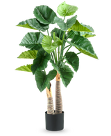 Die Kunstpflanze Alocasia 120 cm hat große, glänzend grüne Blätter und zwei dicke, strukturierte Stängel in einem schlichten schwarzen Topf vor einem weißen Hintergrund.