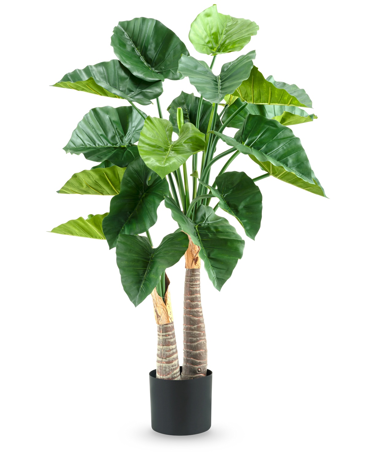 Die Kunstpflanze Alocasia 120 cm hat große, glänzend grüne Blätter und zwei dicke, strukturierte Stängel in einem schlichten schwarzen Topf vor einem weißen Hintergrund.