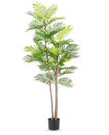 De Kunst Varen plant 150 cm is een hoge kunstplant met slanke bruine stengels en groene varenachtige bladeren, in een kleine zwarte pot tegen een effen witte achtergrond.