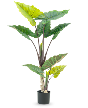 De Kunstplant Calocasia 150 cm heeft grote, brede groene bladeren en stevige bruine stelen in een hoog potontwerp, tegen een witte achtergrond.