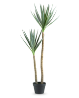 Die Kunstpflanze Heneken 120 cm ist eine künstliche Yucca-Pflanze mit zwei hohen, schlanken Stämmen und spitzen grünen Blättern vor einem schlichten weißen Hintergrund.