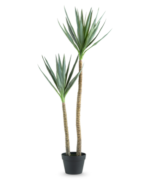 Die Kunstpflanze Heneken 120 cm ist eine künstliche Yucca-Pflanze mit zwei hohen, schlanken Stämmen und spitzen grünen Blättern vor einem schlichten weißen Hintergrund.