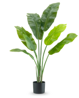 Die Kunstpflanze Strelitzia Nicolai Deluxe 120 cm ist eine luxuriöse Zimmerpflanze mit großen, breiten Blättern in einem schlichten schwarzen Topf, stilvoll vor einem weißen Hintergrund.