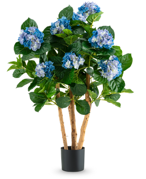 De Kunstplant Hortensia UV 85 cm blauw heeft hoge houten stelen en grote groene bladeren, met trossen blauwe en witte hortensiabloemen in een zwarte pot, perfect voor decoratie.