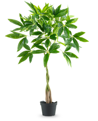 Künstliche Pflanze Pachira 90 cm