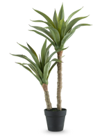 Die Kunstpflanze Agave 76 cm hat zwei lange, dicke Stiele mit langen, spitzen grünen Blättern in einem schwarzen Topf vor einem schlichten weißen Hintergrund.