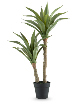Die Kunstpflanze Agave 76 cm hat zwei lange, dicke Stiele mit langen, spitzen grünen Blättern in einem schwarzen Topf vor einem schlichten weißen Hintergrund.