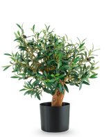 Der künstliche Olivenbaum UV 60 cm ist ein kleiner eingetopfter Olivenbaum mit üppig grünen Blättern und einem robusten Stamm, der in einem eleganten schwarzen Topf vor einem schlichten weißen Hintergrund präsentiert wird.