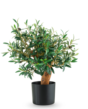 Der künstliche Olivenbaum UV 60 cm ist ein kleiner eingetopfter Olivenbaum mit üppig grünen Blättern und einem robusten Stamm, der in einem eleganten schwarzen Topf vor einem schlichten weißen Hintergrund präsentiert wird.