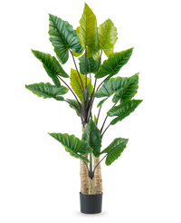 Künstliche Pflanze Alocasia 210 cm