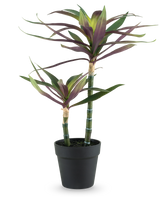 Eine künstliche Pflanze Yucca gigantea 53 cm mit zwei langen, schlanken grünen Stielen, gekrönt von spitzen grünen und violetten Blättern, in einem schwarzen Topf vor einem weißen Hintergrund.