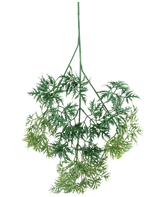 Der Kunsttak Ming Aralia Spray 72 cm hat grüne, federleichte Kunstblätter mit feinen, nadelartigen Rändern in verschiedenen Grüntönen, die kopfüber vor einem weißen Hintergrund hängen.