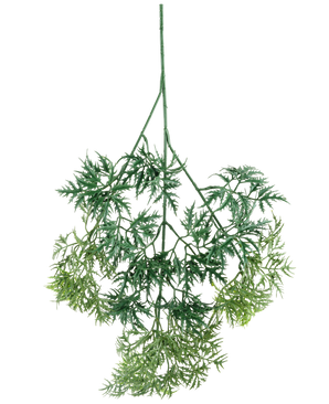 Der Kunsttak Ming Aralia Spray 72 cm hat grüne, federleichte Kunstblätter mit feinen, nadelartigen Rändern in verschiedenen Grüntönen, die kopfüber vor einem weißen Hintergrund hängen.