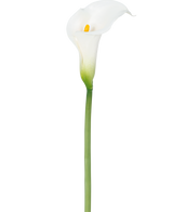 Eine künstliche Lilie 84 cm weiß mit gelbem Herz.