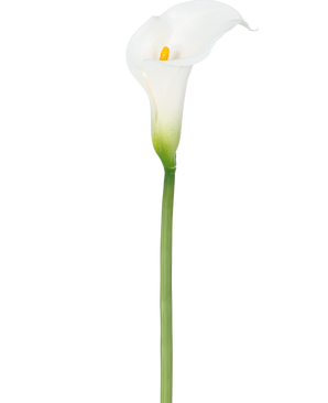 Eine künstliche Lilie 84 cm weiß mit gelbem Herz.