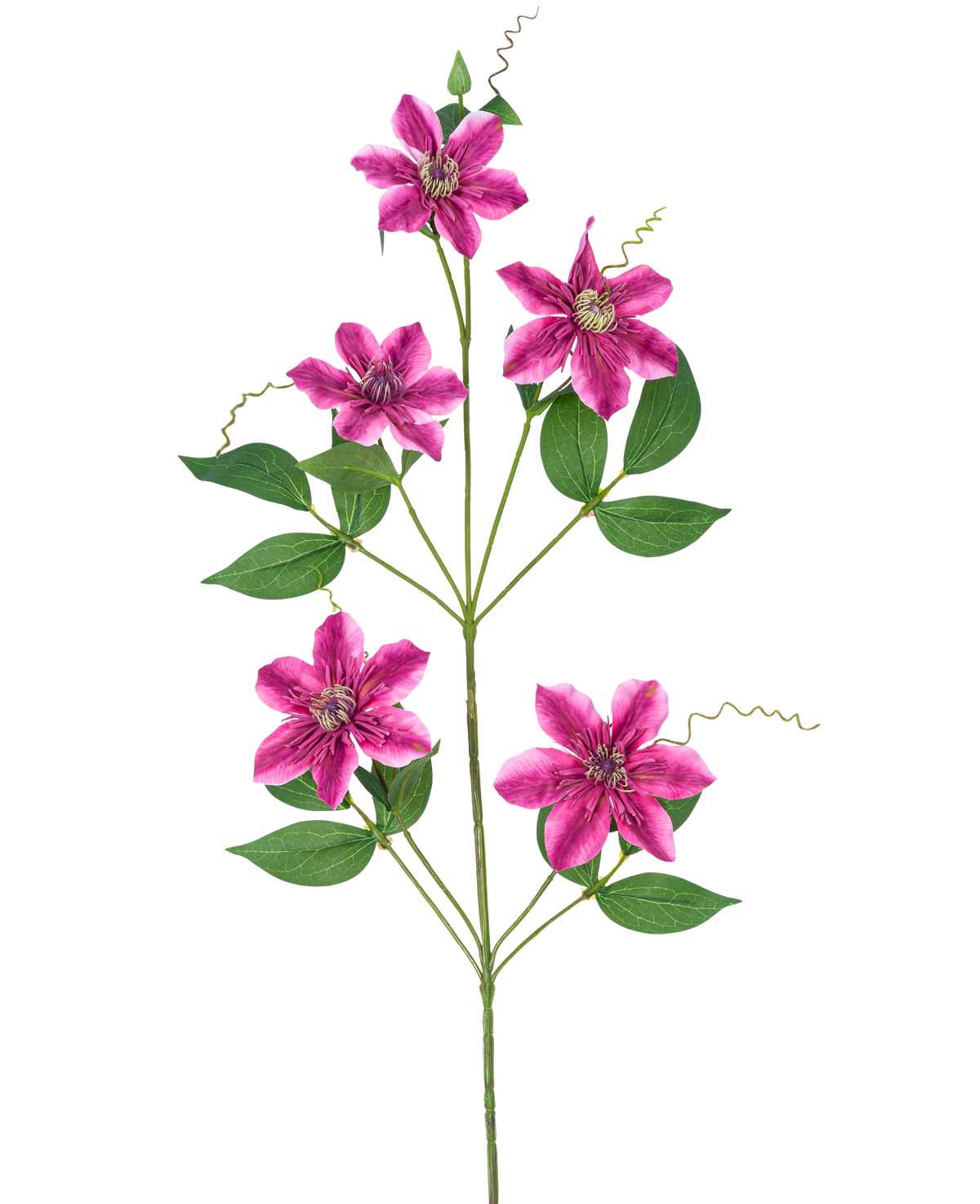Die Kunstblume Clematis gefüllt 78 cm lila hat fünf sternförmige, violette gefüllte Blüten mit grünen Blättern und lockigen Ranken an schlanken Stielen, vor einem weißen Hintergrund.