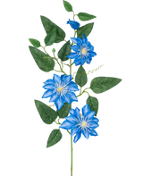 Die Kunstblume Clematis groß 81 cm blau hat einen Stiel mit mehreren grünen Blättern und vier leuchtend blauen Clematisblüten, jeweils mit einem weißen Herzen und spitzen Blütenblättern, vor einem weißen Hintergrund.