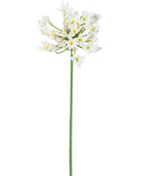 Die künstliche Blume Agapanthus 77 cm weiß hat einen einzelnen hohen grünen Stiel mit einem Strauß kleiner weißer Blüten mit gelbem Herzen vor einem schlichten weißen Hintergrund.
