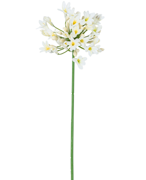 Die künstliche Blume Agapanthus 77 cm weiß hat einen einzelnen hohen grünen Stiel mit einem Strauß kleiner weißer Blüten mit gelbem Herzen vor einem schlichten weißen Hintergrund.