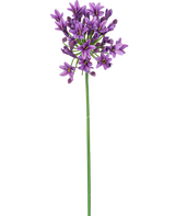 Ein einzelner langer grüner Stiel mit kleinen, sternförmigen violetten künstlichen Blumen Agapanthus 77 cm, violette Blüten blühen an der Spitze, isoliert auf weißem Hintergrund.