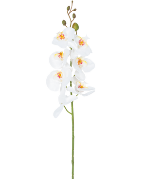 Die künstliche Blumenorchidee 84 cm weiß hat einen einzelnen Stiel aus weißen Orchideenblüten mit gelben und rosa Herzen und grünen Blütenknospen an der Spitze vor einem schlichten weißen Hintergrund.