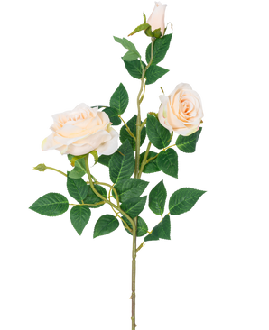 Die künstliche Rose Neo Deluxe 75 cm beige hat einen einzelnen Stiel mit zwei hellbeigen blühenden Rosen, einer Rosenknospe und mehreren grünen Blättern vor einem schlichten weißen Hintergrund.