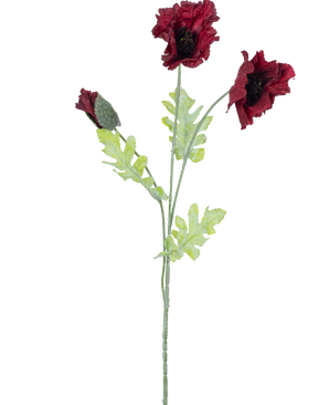 Die künstliche Mohnblume 73 cm in Bordeaux hat einen einzelnen Stiel mit zwei offenen dunkelroten Mohnblüten, einer Knospe und mehreren grünen, gezackten Blättern vor einem weißen Hintergrund.