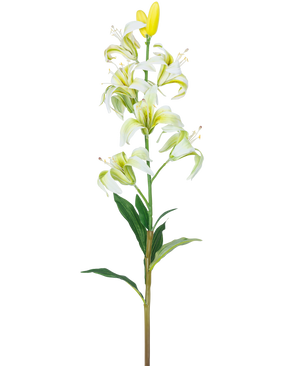 Die künstliche Blumen-Martagon-Lilie 78 cm weiß hat einen langen Stiel mit mehreren weißen Lilienblüten und -knospen, einem gelben Herzen und grünen Blättern, isoliert auf weißem Hintergrund.