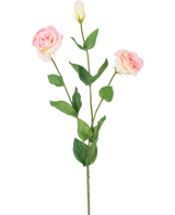 Der künstliche Eustoma Real Touch Hellrosa 72 cm hat einen einzelnen grünen Stiel mit zwei blühenden hellrosa Blüten und einer geschlossenen Knospe, umgeben von grünen Blättern, vor einem schlichten weißen Hintergrund.
