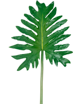 Vor einem schlichten weißen Hintergrund ist ein künstlicher Blattphilodendron (68 cm) mit einem großen grünen tropischen Blatt mit tiefen, unregelmäßigen Lappen und einem langen Mittelstiel abgebildet.